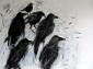 Flock of Crows 2